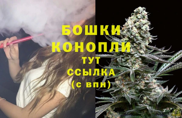 spice Зерноград