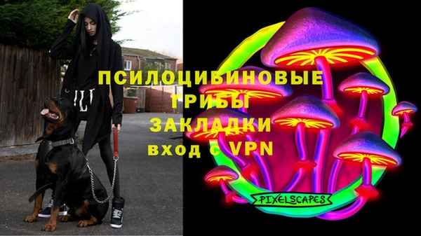 ГАЛЛЮЦИНОГЕННЫЕ ГРИБЫ Зеленодольск