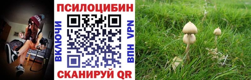 Псилоцибиновые грибы мицелий  Купить где  Видное 